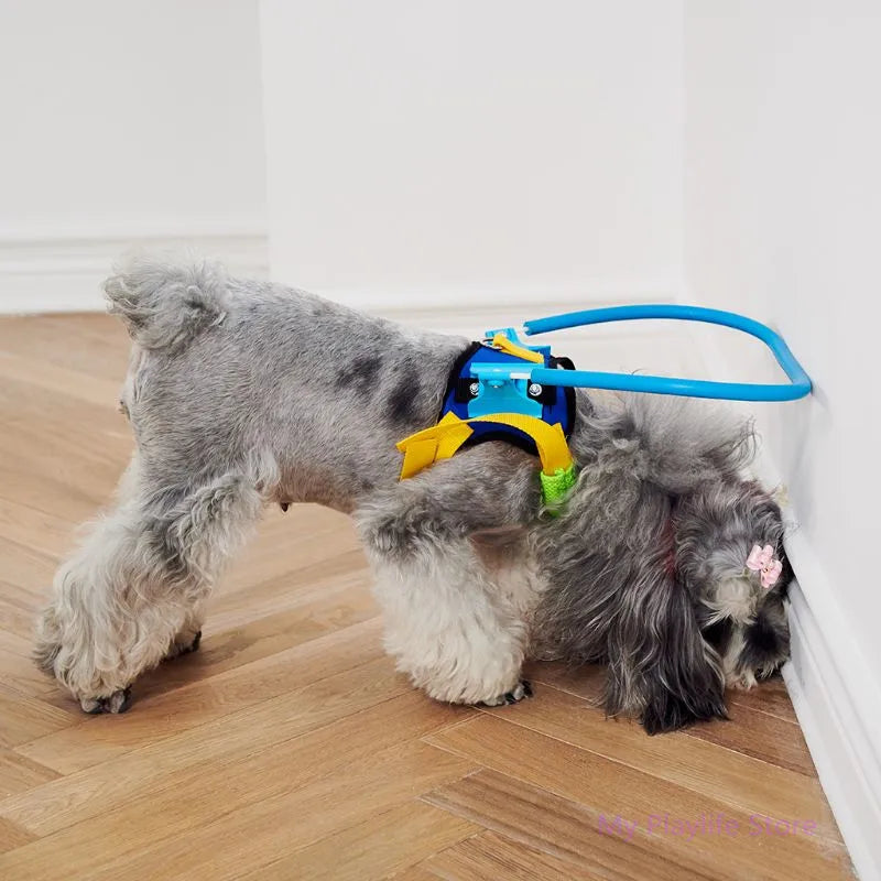 Blind Dogs Pet Safe Harness Anti-collision Ring Pets Weak Color Circle Guide  Animal Protection Collar Rings Dog Harness