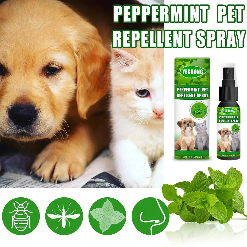 Peppermint Oil Spray For Bugs Professional Flea And Tick Control 60ml Universal Pet Block Spray Mint Ingredients For Dogs Cat