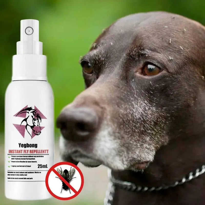 Pet Skin Spray Fleas Tick And Mosquitoes Spray For Dogs Cats And Home Fleas Eliminator Control  Home Fleas Treatments For Dogs