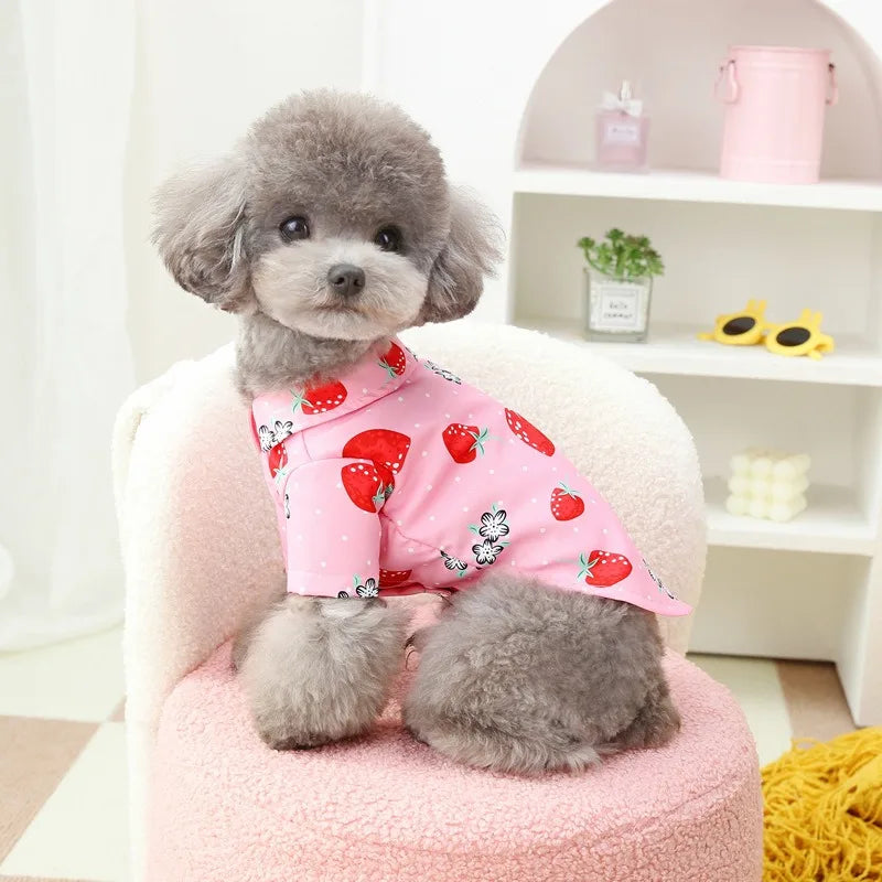 Puppy Open Button Shirt Thin Pet Clothing Teddy Fruit T-Shirt Spring Summer Casual Shirt Fashionable Dog Clothes