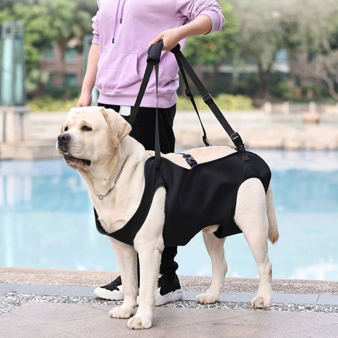 Dog Lift Harness for Large Dogs Sling for Whole Body Dog Legs Support Carriers Harness for Elderly Injured Disabled Dogs.KLYM