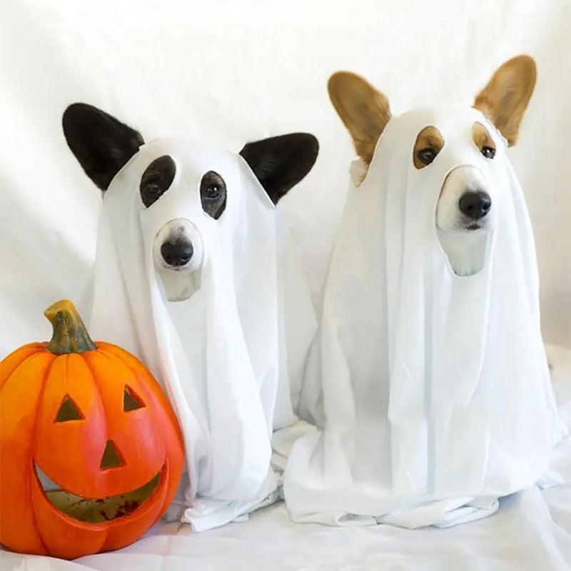 Halloween Dog Ghost Cosplay Costume Pet Cos Outfits Dogs Cats Cape Clothing Christamas Carnival Party Costumes