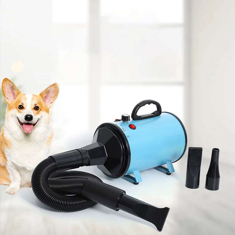 Silent Blow Dryer Secador Fast Cat Blaster Hair Dryer Powerful Warm Wind Dog Hairdryer Grooming Water Blower Pets Accessories