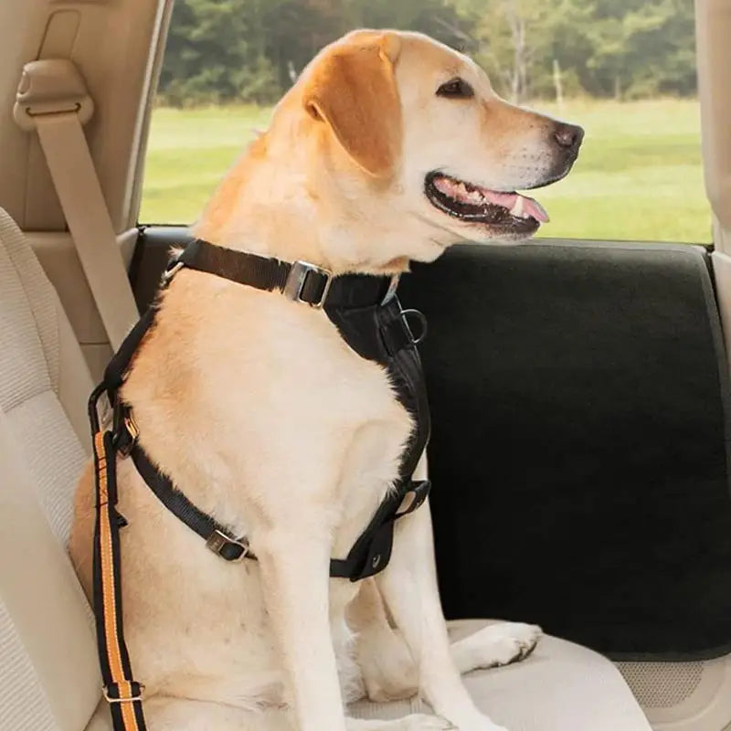 Dog Car Door Protector 600D Oxford Dog Door Protector Scratch Guard Waterproof 2pcs Pet Vehicle Door Guard Car Protector For