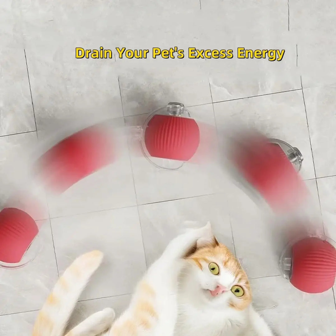 Interactive Rolling Cat and Dog Ball-Electric Rolling Ball 360°Intelligent Automatic Rolling Pet Ball Interactive Cat Toy Kitten