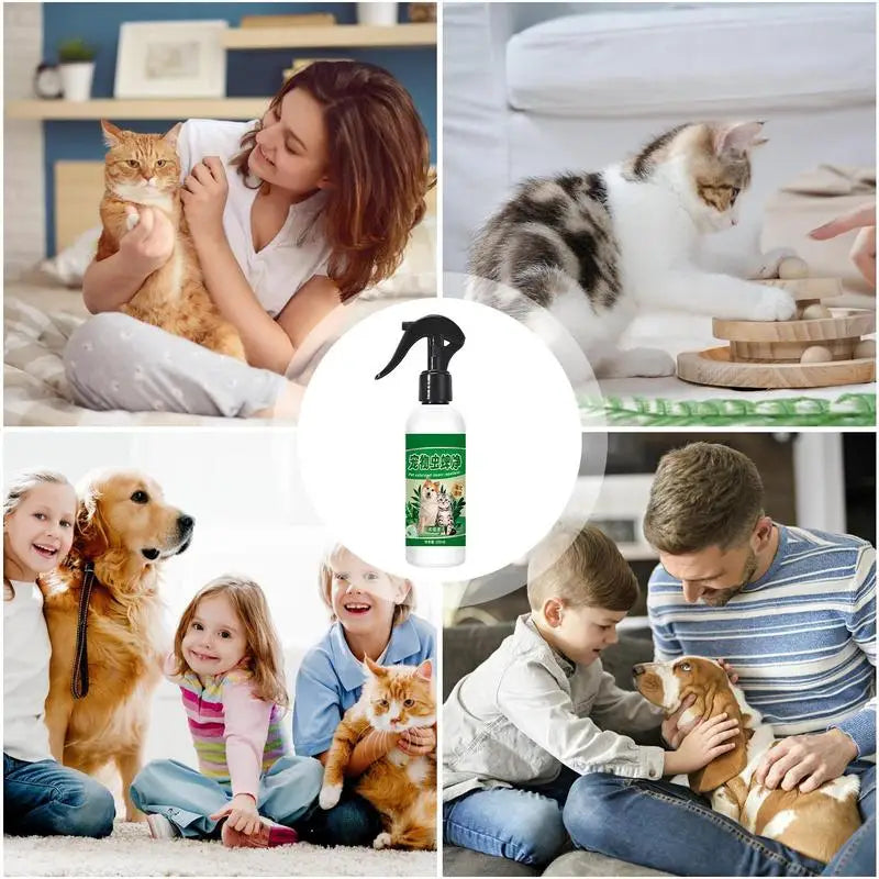 Natural Flea Tick Aid Spray For Dogs Cats And Fleas Eliminator Control Prevention Protect Fleas Killers Soothing Grooming Spray