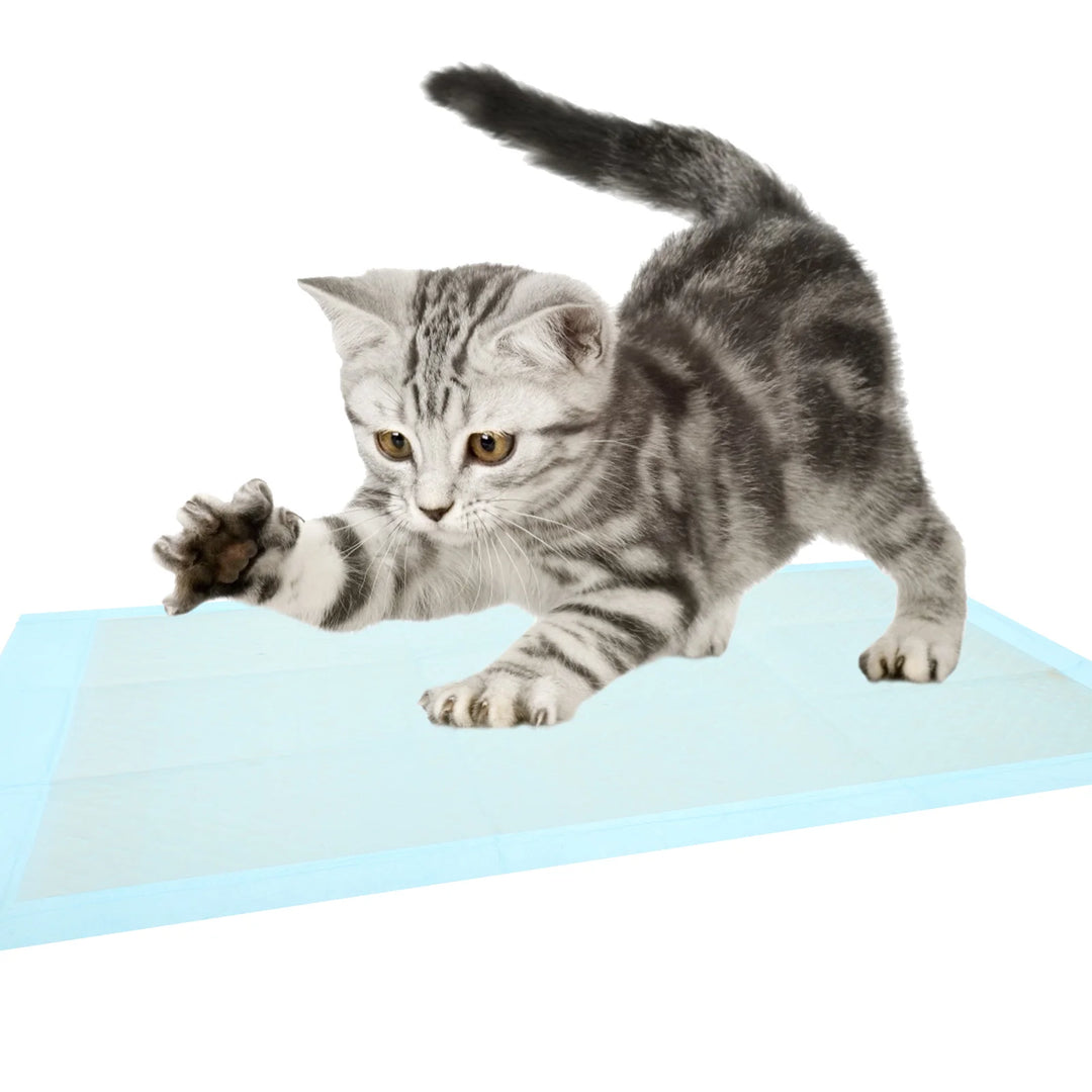 100 Pcs Disposable Super Absorbent and Waterproof Dog Puppy Pet Training Mats Pieces Child Pee Pads Non-woven Fabric Cat