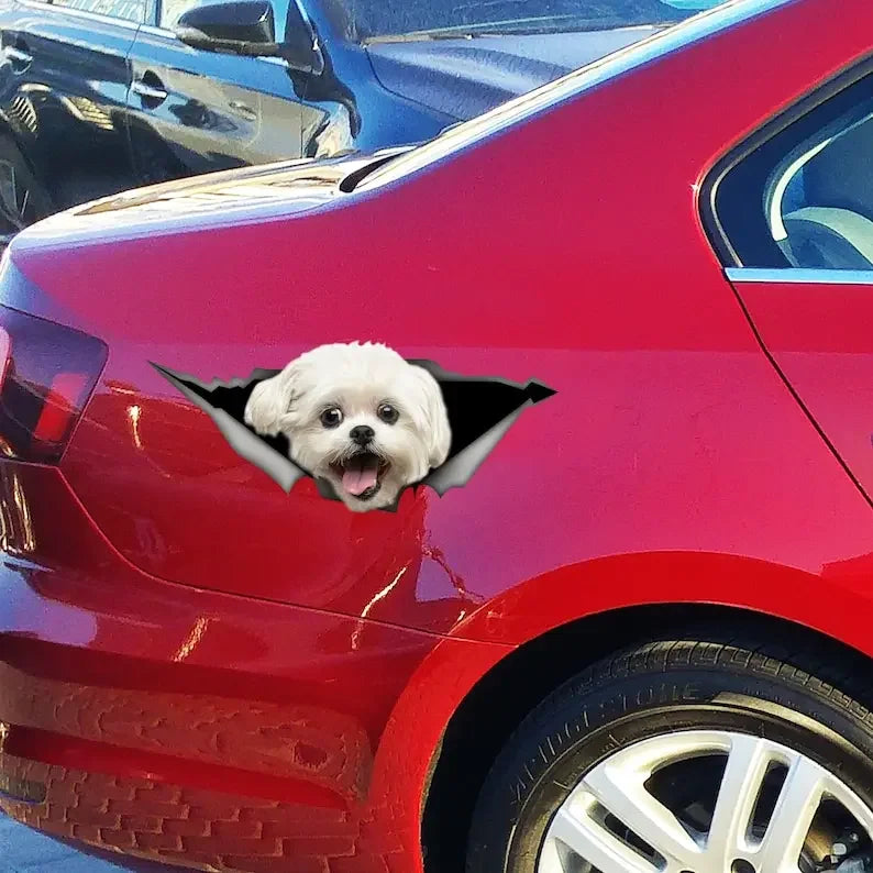 White Lhasa Apso decal, Lhasa Apso car sticker, White Lhasa Apso magnet, dog car decal