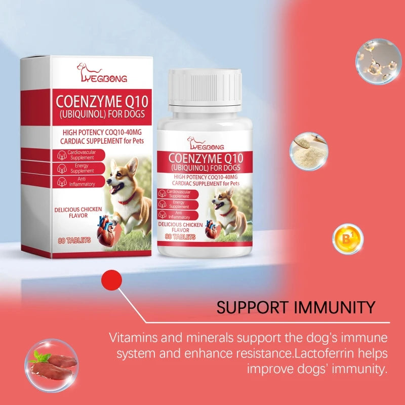 Senior Canine Heart Health Coenzyme Tablets with Essential Vitamin  Coenzyme for Improved Wellness for Elderly Dogs