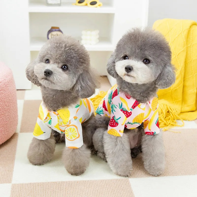 Puppy Open Button Shirt Thin Pet Clothing Teddy Fruit T-Shirt Spring Summer Casual Shirt Fashionable Dog Clothes