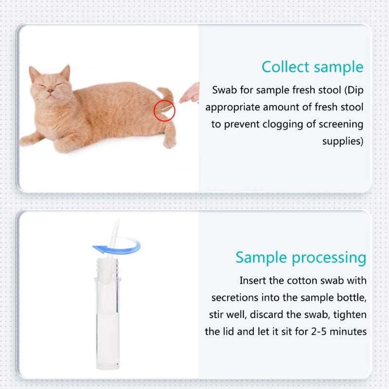 Cat Dog Distemper Parvovirus Detection Card Pet CDV FPV CPV CCV Test Strip Canine Home Health Detection Paper Disease Test Paper