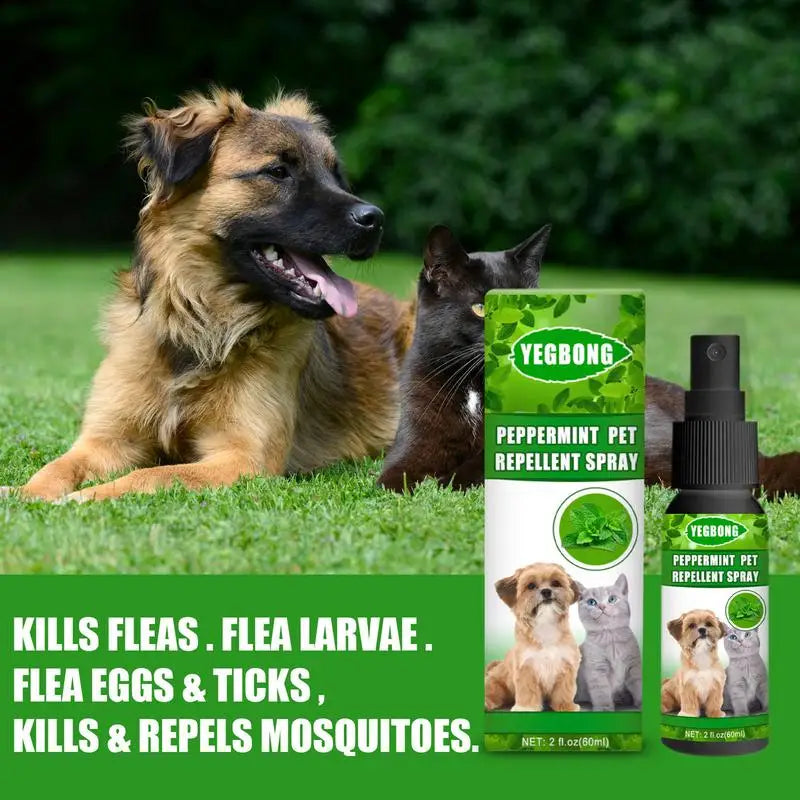 Peppermint Pet Spray Mint Fragrance Pet Bugs Spray Long-Lasting Control Repel Insect Remover 60ml Flea & Tick Control Spray