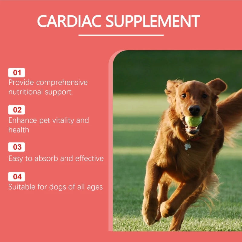 Senior Canine Heart Health Coenzyme Tablets with Essential Vitamin  Coenzyme for Improved Wellness for Elderly Dogs