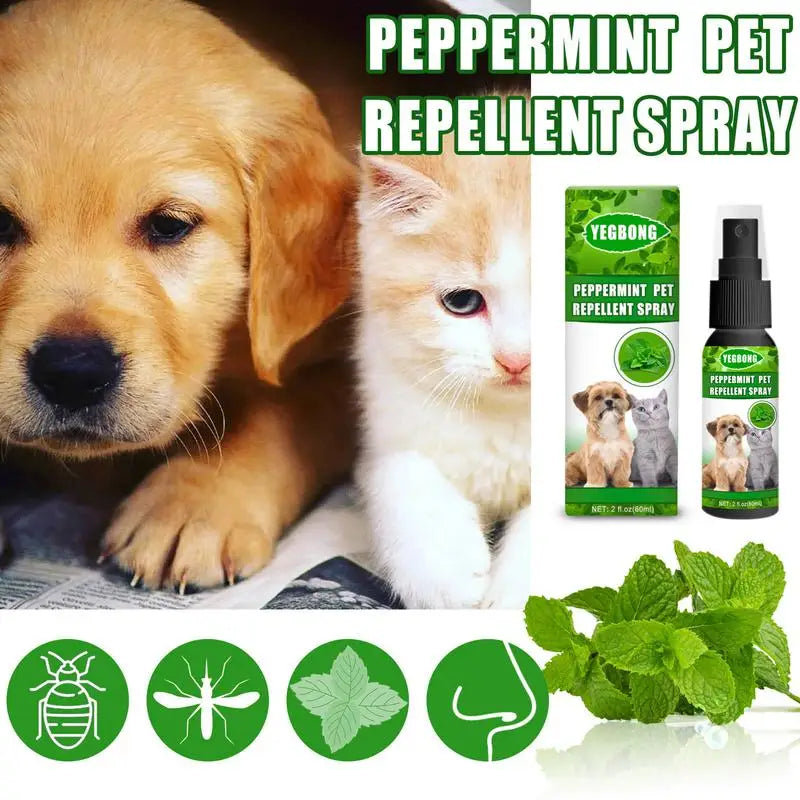 Peppermint Pet Spray Mint Fragrance Pet Bugs Spray Long-Lasting Control Repel Insect Remover 60ml Flea & Tick Control Spray