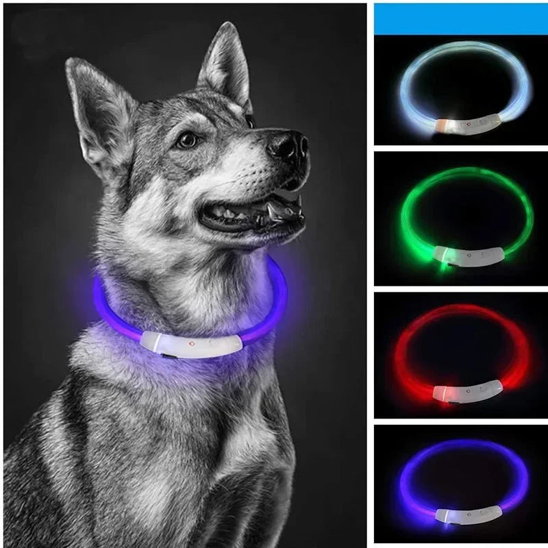 New Dog Collar Luminous Usb Cat Harnesses Collar Adjustable Led Light Glowing Loss Prevention LED Collar For Dog Pet Accessories