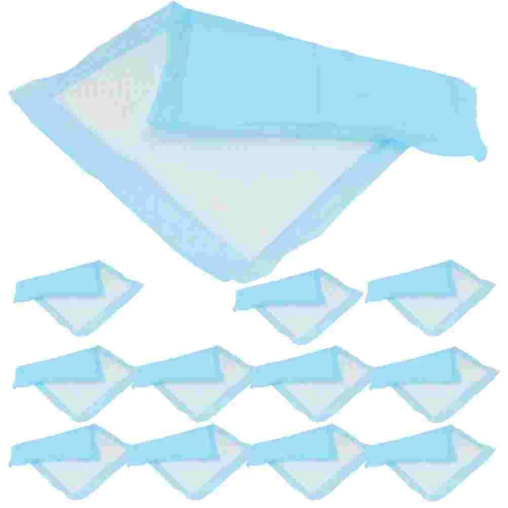 50 Pcs Pet Pee Mat Training Pad Puppy Pads for Cat Potty Disposable Dog Changing Urinal Non-woven Fabric Professional