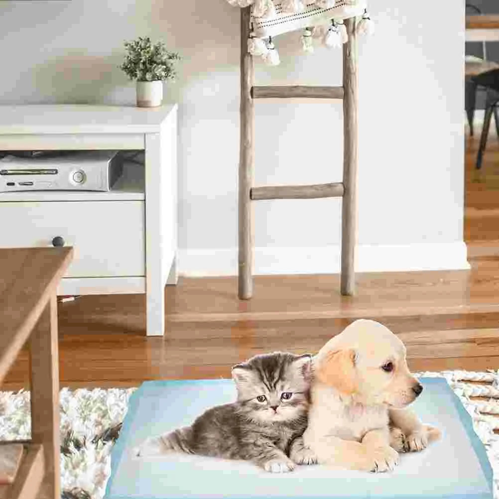 50 Pcs Pet Pee Mat Training Pad Puppy Pads for Cat Potty Disposable Dog Changing Urinal Non-woven Fabric Professional