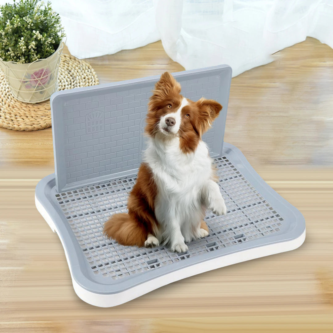 Portable Pet Dog Training Toilet Tray Mesh Puppy Potty Tray Urinal Lattice Bedpan for Small Dog Cat Kitten Cleaning Supplies