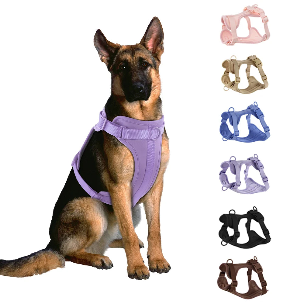 Double Dog Leash PVC Comfortable Dog Harness Adjustable Chest Strap Three-Piece Set Collars-f- Harnesses & Leashes Suit