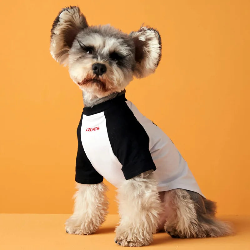 New Pet Clothes Fashion Puppy Clothing Dog Shirt Small Dog Schnauzer Chihuahua Pet T-shirt Dogs Clothes Cute