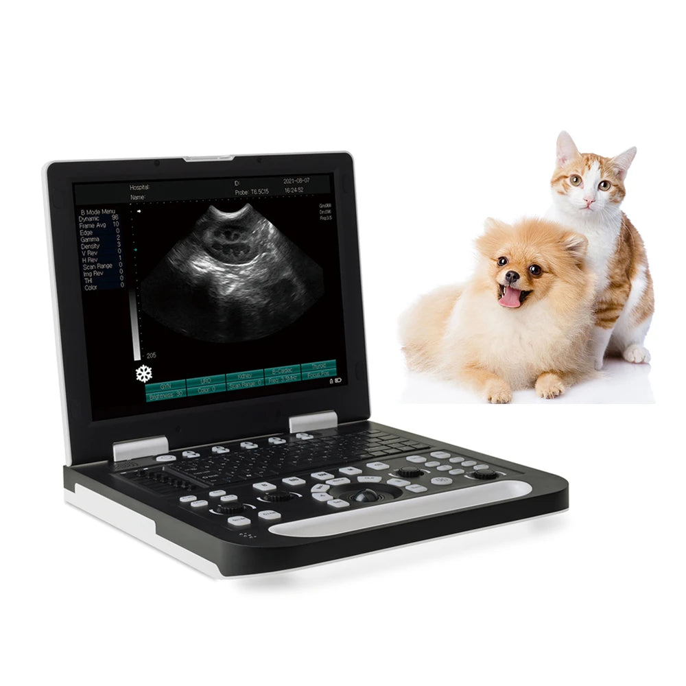 15 Inch Led Notebook Small Big Animal Cat Dog Vet Veterinary Ultrasound Scanner System USG