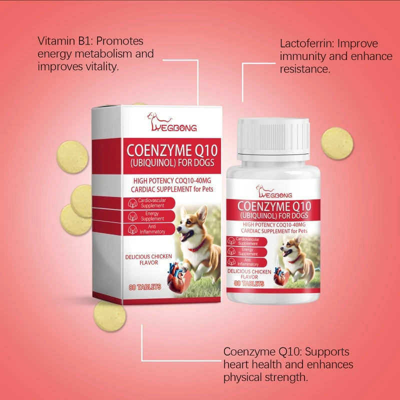 Dog Tablets Nutritional Tablets Support for Aging Dogs with Vitamin  Elderly Dog Coenzyme Tablets Health