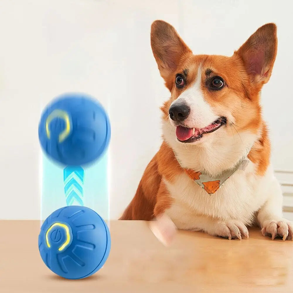 NEW Intelligent Teasing Dog Ball LED Bite Resistant Dog Interactive Toy Ball Fun Toys Boredom Relief Artifact Dog Electric Toys