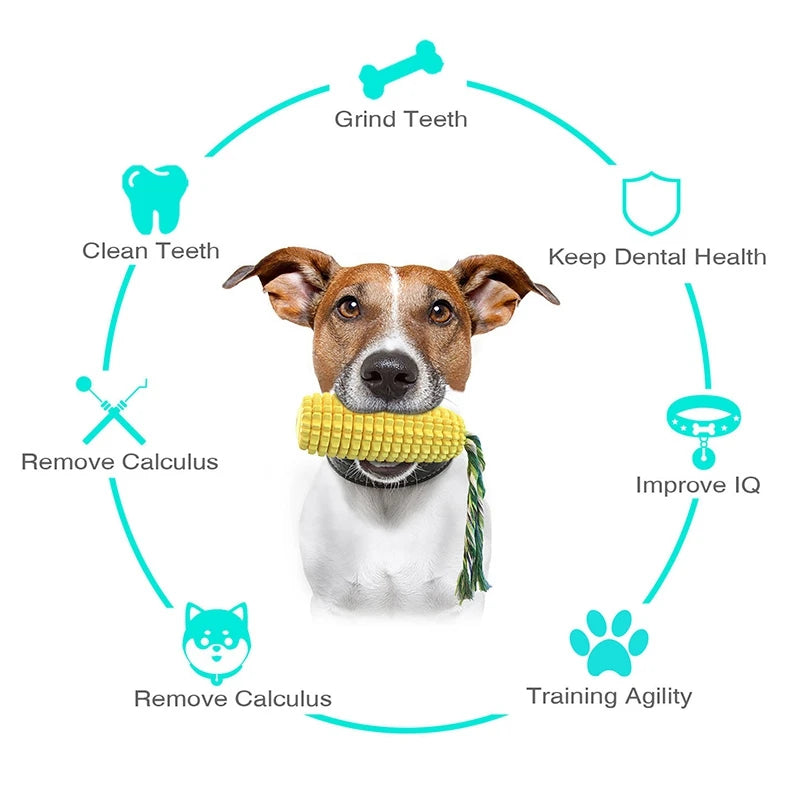 Dog Toothbrush Chew Toy, Dog Chew Toys for Aggressive Chewers Dental Care Brushing Stick for Hygiene Corn Shaped