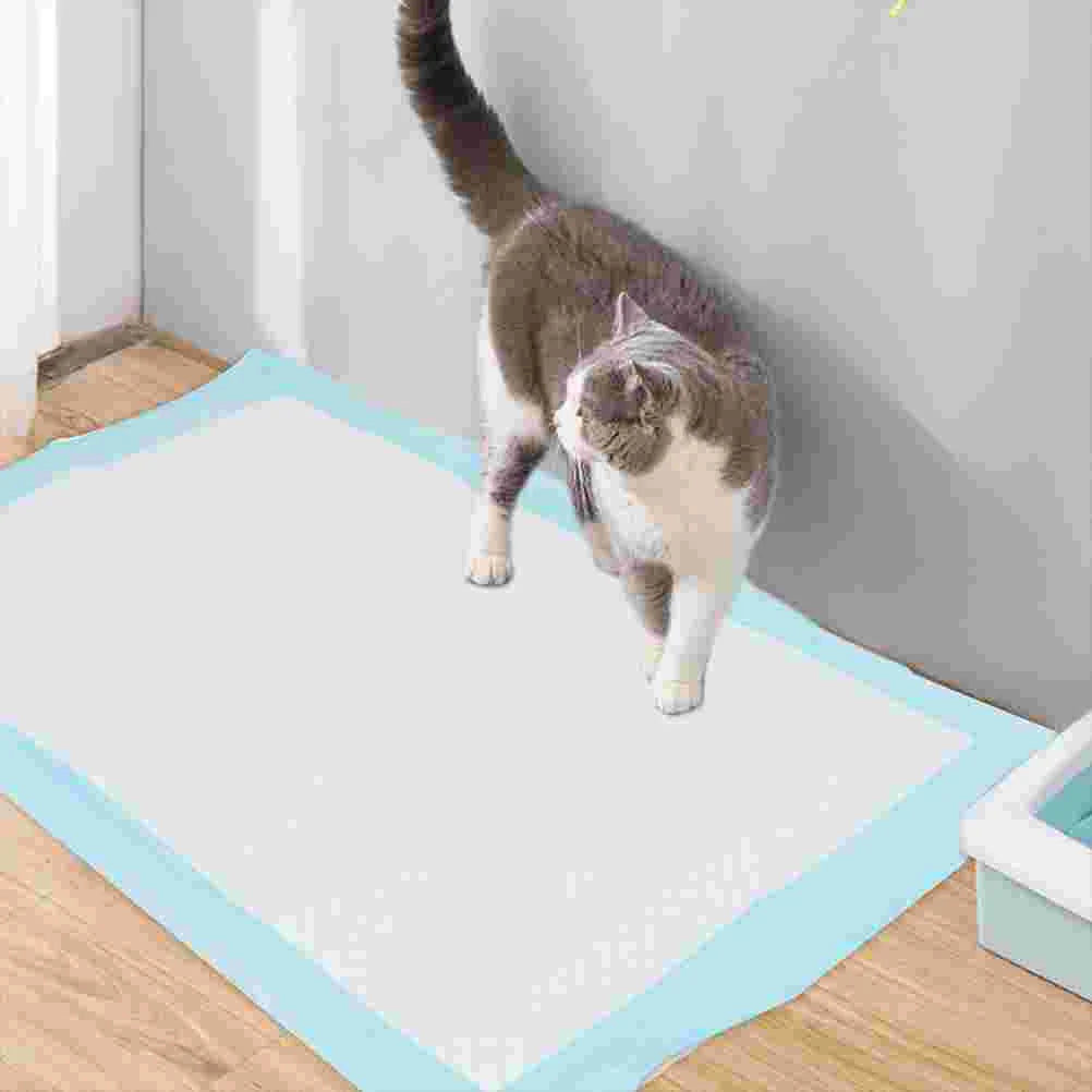 50 Pcs Pet Pee Mat Training Pad Puppy Pads for Cat Potty Disposable Dog Changing Urinal Non-woven Fabric Professional