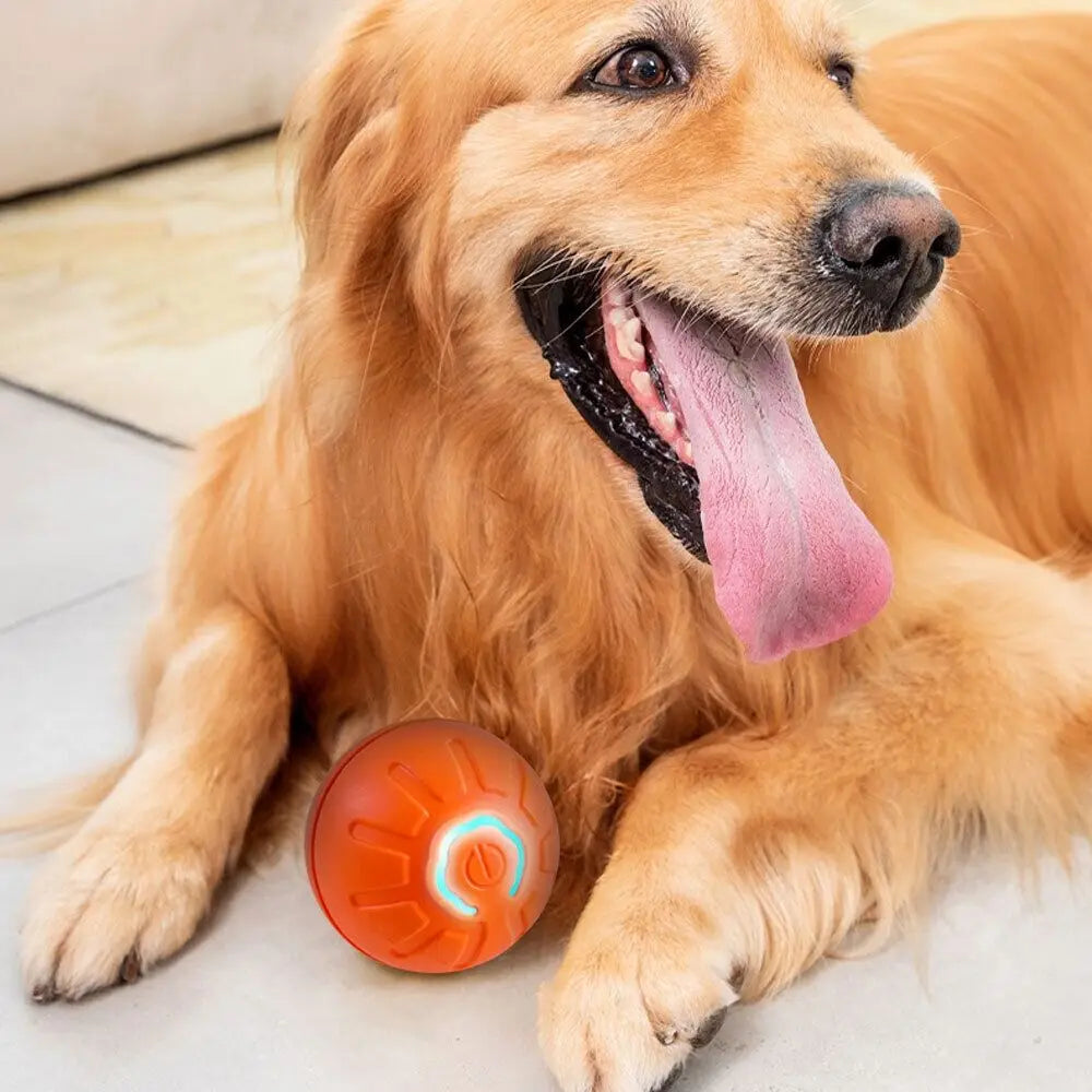 NEW Intelligent Teasing Dog Ball LED Bite Resistant Dog Interactive Toy Ball Fun Toys Boredom Relief Artifact Dog Electric Toys