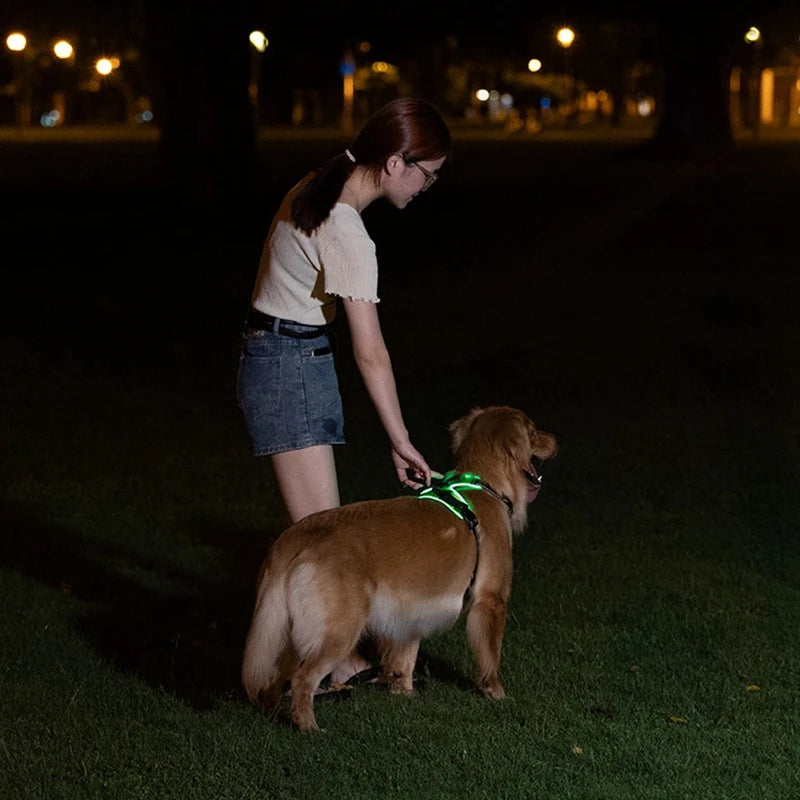 Luminous Pet Harness Luminous Dog Harness Adjustable Luminous Pet Chest Strap