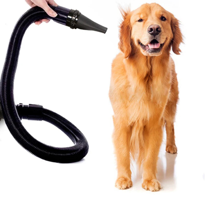 Silent Blow Dryer Secador Fast Cat Blaster Hair Dryer Powerful Warm Wind Dog Hairdryer Grooming Water Blower Pets Accessories