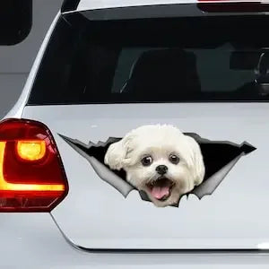 White Lhasa Apso decal, Lhasa Apso car sticker, White Lhasa Apso magnet, dog car decal