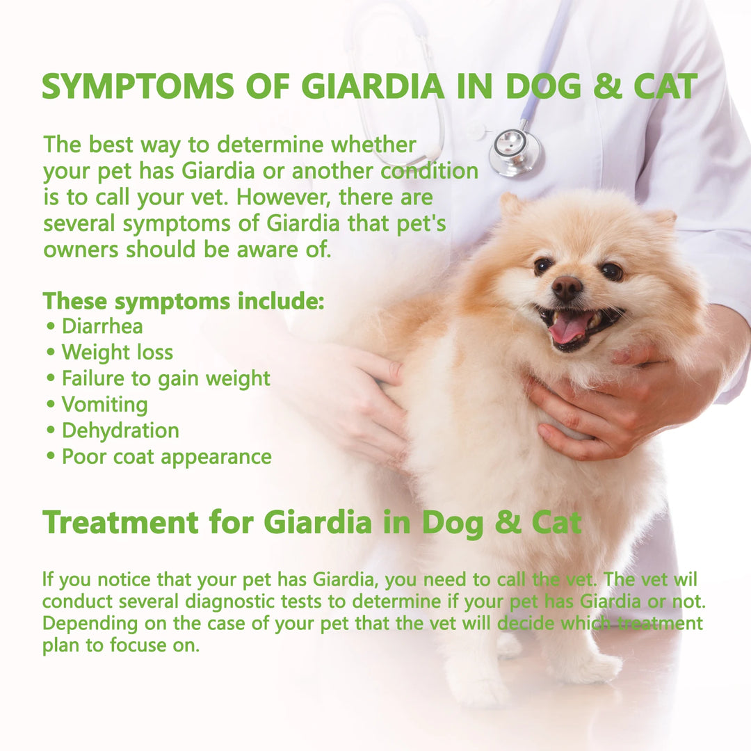 50Pcs GIA - Canine & Feline GIARDIA Rapid Detection Home Health Test Kit for Dogs & Cats